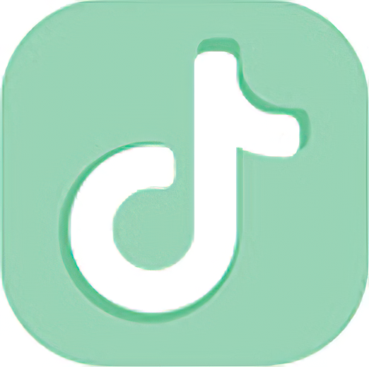 TikTok Viewer and Downloader - 网页版TikTok+视频下载 v0.0.40